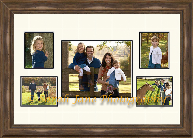 Flavin_Family